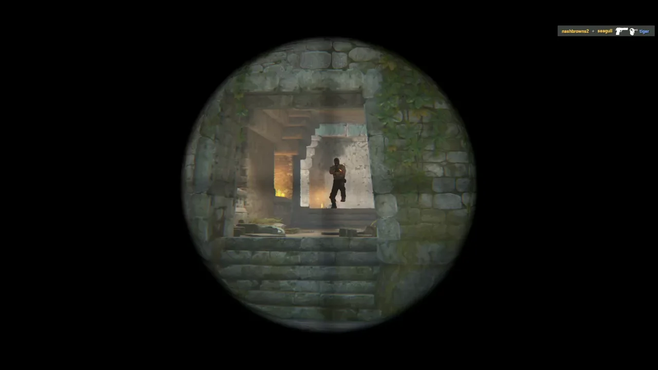 highlight